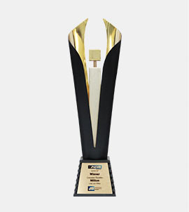 INDIAA AWARDS Trophy